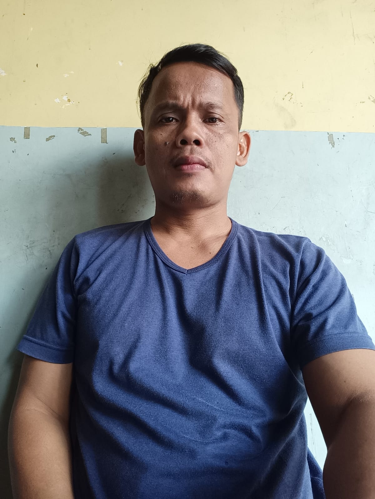 SIFADERUL AMIK